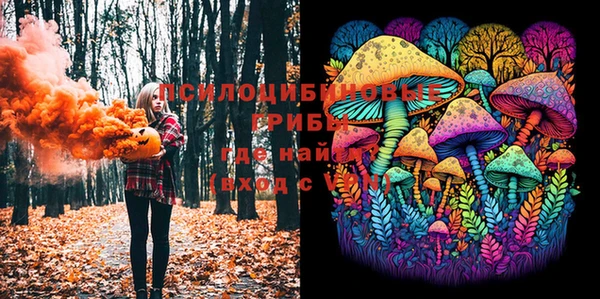 ECSTASY Михайлов