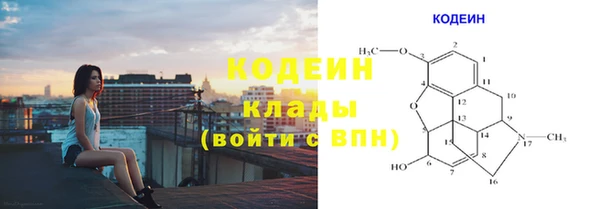 гашик Михайловск