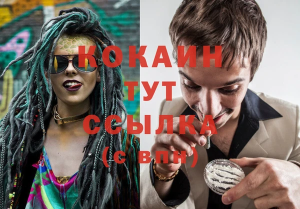 ECSTASY Михайлов