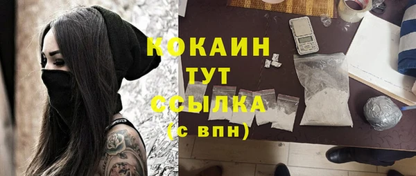 гашик Михайловск