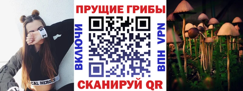 Псилоцибиновые грибы MAGIC MUSHROOMS  мега рабочий сайт  Гаврилов Посад 